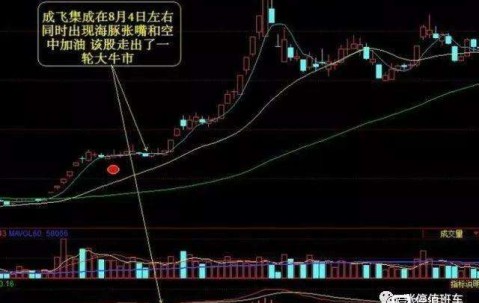 ayx爱游戏体育app -关于乒乓球常规赛，荆楚海豚队与姑苏铁骑队绝杀，VAR改判成焦点！教练团队居功至伟的信息
