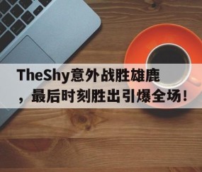 ayx爱游戏体育app -关于TheShy意外战胜雄鹿，最后时刻胜出引爆全场！的信息