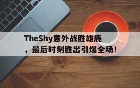 ayx爱游戏体育app -关于TheShy意外战胜雄鹿，最后时刻胜出引爆全场！的信息