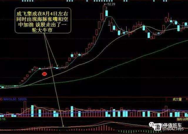 关于乒乓球常规赛，荆楚海豚队与姑苏铁骑队绝杀，VAR改判成焦点！教练团队居功至伟的信息